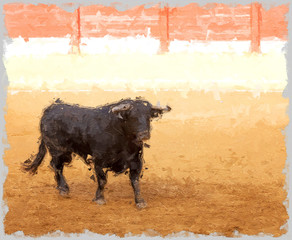 black bull in a bullring