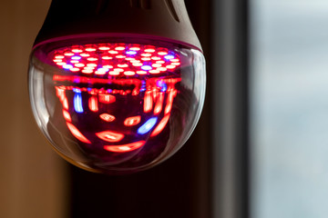 Fitolamp with glowing red LEDs and blue spectrum. Copy space.