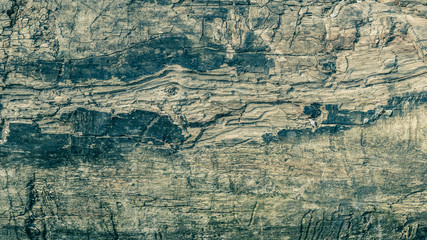 Shabby tinted wood background texture. Close-up.
