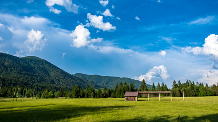 Summer has arrived in the italian alps