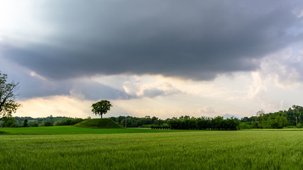 Storm in the fields of Friuli Venezia-Giulia