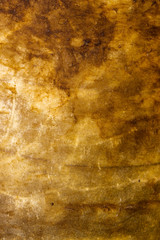 Illustration of natural marbled animal skin leather patterned background
