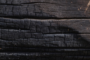 Charred black wood for background.