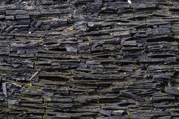Charred wood. Charred log background texture.