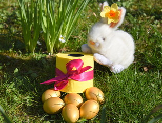 Kleiner, weißer Osterhase im Grünen mit einem Osternest aus goldenen Eiern und einer Rolle...