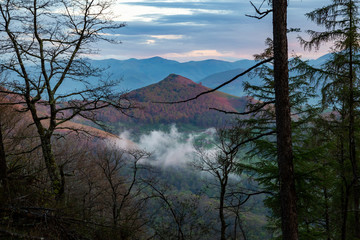 Landscape of a mountain dressed in autumn colors, seen between leafless trees and pine trees on a cloud-covered sunset.