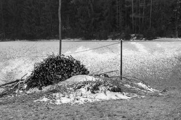 HOLZSTOSS IM MÄRZSCHNEE 