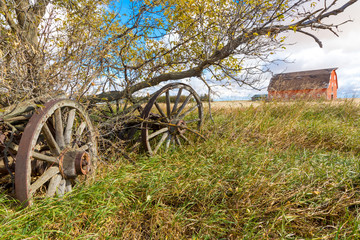 Old Wagon in the Bush