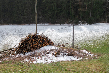 HOLZSTOSS IM MÄRZSCHNEE 