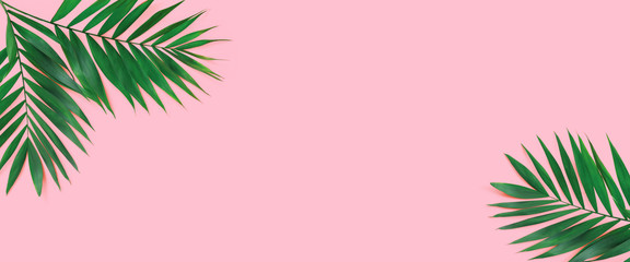Fototapeta na wymiar Minimal tropical green palm leaf on pink paper background.