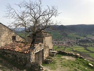Arbre à la silhouette torturée dans un hameau dominant Saint-Georges de Luzençon et Millau, plateau du Larzac en arrière-plan  © JF DUCHER
