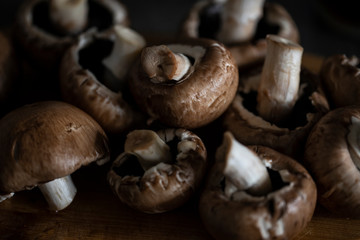 a lot of brown mushrooms king champignon in the kitchen