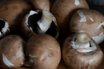 a lot of brown mushrooms king champignon in the kitchen