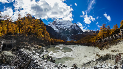 Nature landscape river in pine forest mountain valley,Snow Mountain in daocheng yading,Sichuan,China.