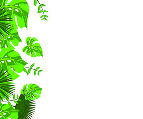 invitation card monstera proton purple, background tropical leaves plastic pink, flower frame monstera ufo green