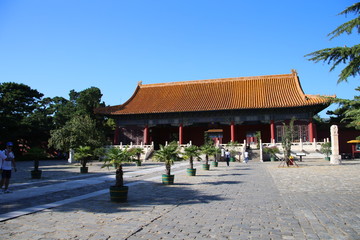 Chinese Temple - 335619073