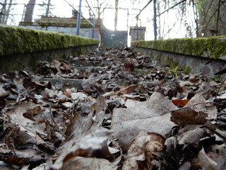 Fototapeta premium autumn leaves on the stairs