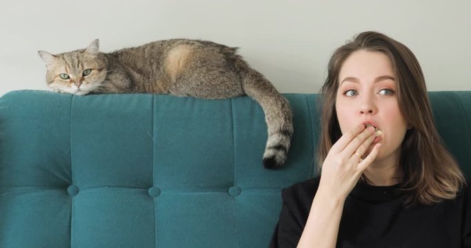 Portrait of woman eating popcorn sitting on couch at home watching TV, movie, film, cinema, with cat, front view. Movie food concept. Low calorie tasty snack. Tabby cat is lying on couch with her.