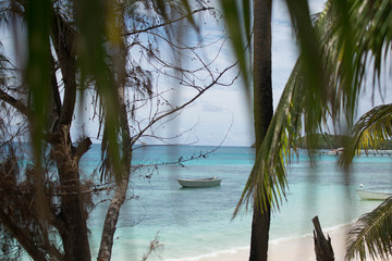 fiji