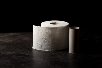 Toilettenpapier und Klorolle düster