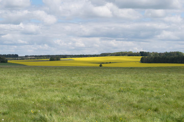 Obraz premium stonehenge