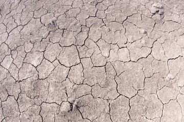 Gray cracked earth in large pieces without grass
