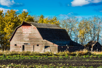 Old Weathered Barn