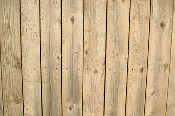 Fototapeta premium wooden fence made of planks, copy space