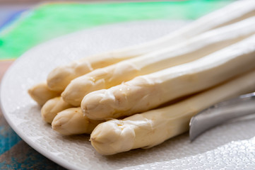 New harvest of high quality Dutch white asparagus, peeled on board, ready to cook