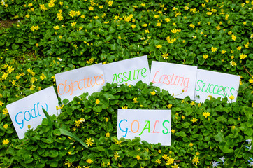 Goals definition concept explained as Godly objectives assure lasting success handwritten on...