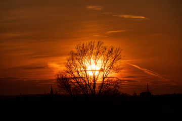 Fototapeta premium Wunderschöner Sonnenuntergang durch die Bäume betrachtet