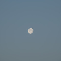 Lonely moon in gloomy blue sky just before sunrise, Montserrat, Catalonia, Spain.