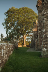 bective abbey in ireland landscape