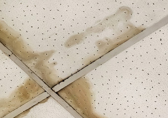 Leaking ceiling, the effects of an old, poor roof or neighbors flooded