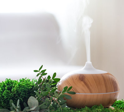 Modern Aromatic oil diffuser with fresh herbs .