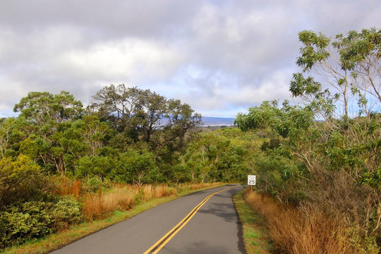 Hawaii Big Island nature background. Mauna Loa lower level landscape. Scenic morning view with paved road to the summit between tress and bushes.
