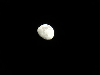 moon in the night sky