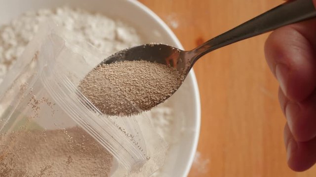 showing to camera spoon teaspoon of dry instant yeast close macro