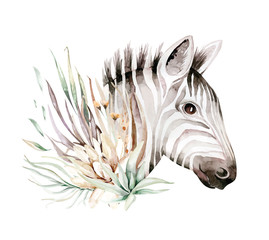 Cute zebra watercolor portrait illustration. African animals exotic nature. Savannah wildlife animal