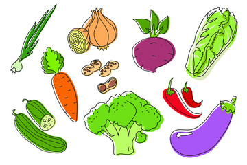 Vegetables doodle drawing set collection. vegetable such as carrot, ginger, cucumber, cabbage, etc. Hand drawn vector doodle illustrations in colorful cartoon style. EPS