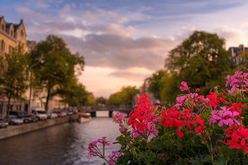 Fototapeta na wymiar View of a sunset in a canal of Amsterdam with red and pink geranium flowers in the closeup and trees, water and a blue and orange sky with clouds in Amsterdam, The Netherlands
