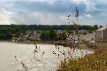 Bokeh view of a beach with blue sky, clouds and green trees and houses in the background and spikes in the closeup. Beaumaris, Gwynedd, Wales, UK.