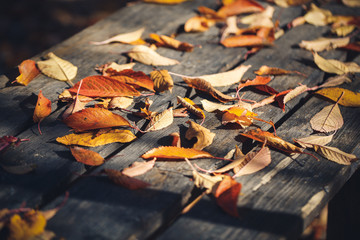 Yellow fallen leaves on a wooden table. autumn cold