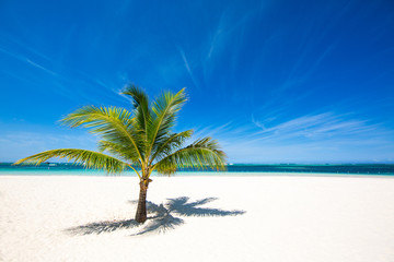 Palm tree on a deserted beautiful beach with white sand and turquoise water. The best places in the world. amazing tropical background. Holidays by the ocean 