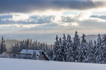 Górski zimowy krajobraz z widokiem na ośnieżone drzewa