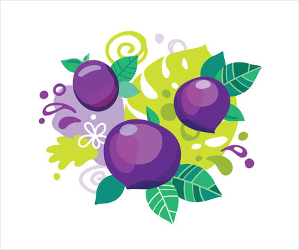 Fresh purple plums with juice splash. Organic food fruit with abstract vector leaves and swirls illustration.