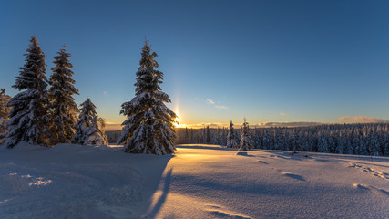Zachód słońca nad ośnieżonymi choinkami, Pec pod Śnieżką, Czechy