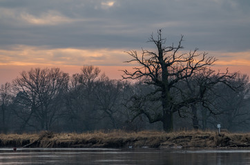 Krajobraz nad rzeką Wartą © Maciej