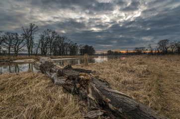 Krajobraz nad rzeką Wartą © Maciej