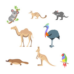 Australia animals set in flat style isolated on white background. Vector stock illustration.